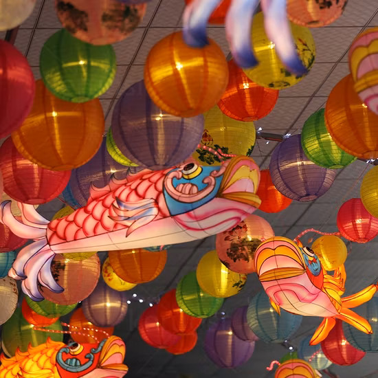 Festival delle lanterne personalizzate Lanterne cinesi Grande lanterna di pesce appesa per il centro commerciale